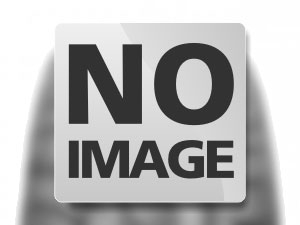 Alliance 585 265/70 R16.5 122b